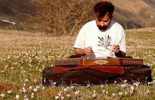 Çiğdemler içinde santur keyfi