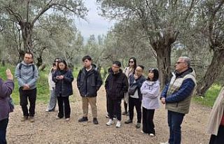 Çinli turizm temsilcileri Antandros Antik Kenti’ne...