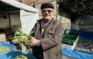 Çiriş otu tezgahlarındaki yerini aldı