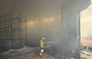 Cizre’de çıkan yangında fabrika küle döndü