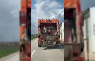 Çöp kamyonuna bakan hayrete düştü