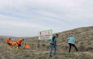 Çorum’da hükümlüler 2 bin fidan dikimi ve 5...