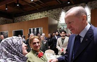 Cumhurbaşkanı Erdoğan: "Demir yumruğumuzu...