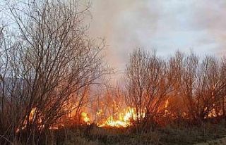 Darende’de iki farklı noktada bahçe yangını