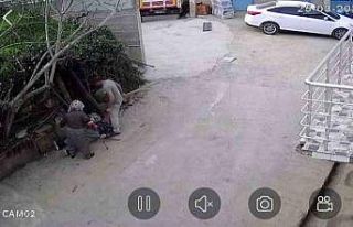 Dayısına kürekle saldırdı, o anlar güvenlik...