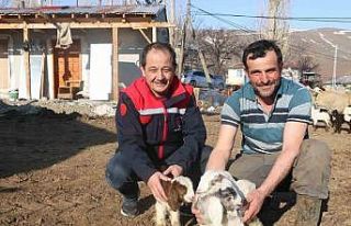 Devlet desteği Erzincanlı çiftçilere umut oldu