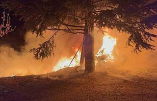 Dinlenme tesisinde korkutan yangın