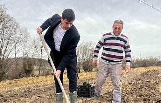 Dumlupınar’da böğürtlen fideleri toprakla buluşturuldu