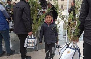Dünya Ormancılık Günü’nde 5 bin servi fidanı...