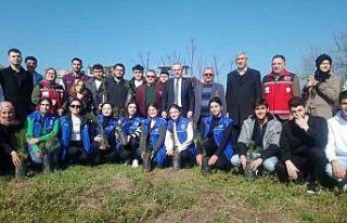 Düzceli şehitler anısına fidan diktiler