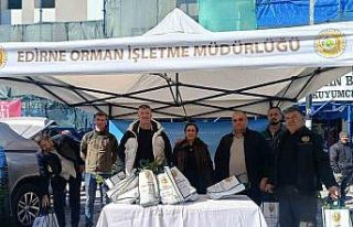 Edirne’de çam fidanı dağıtıldı