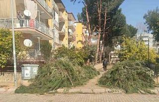 Efeler Belediyesi’nden budama atıkları uyarısı