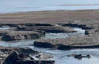 Eğirdir Gölü’nde yeni düdenler su tehlikesini...