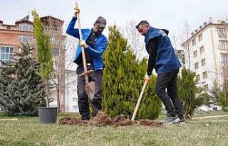 Elazığ Belediyesinden bahar hazırlığı