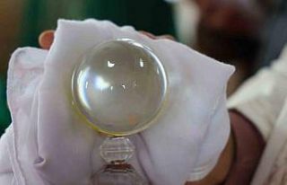 Elazığ’da sakal-ı şerif ziyarete açıldı