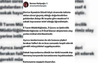 Elazığ’da sokak hayvanlarına zarar verilmesi...