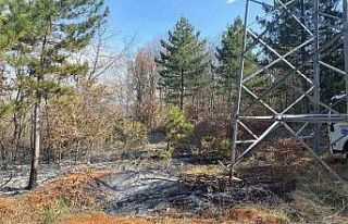 Enerji nakil hattında başlayan yangın ormanlık...