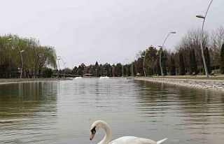 Eskişehirliler güzel havanın tadını çıkardı
