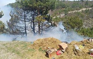 Gediz’deki orman yangını kontrol altına alındı