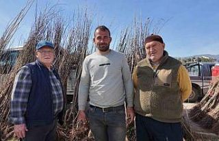 Gedizliler meyve fidanlarına yoğun ilgi gösteriyor
