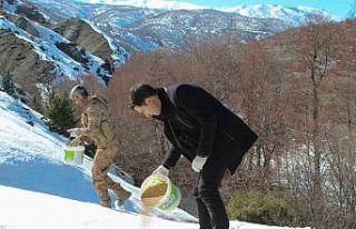 Genç’te yaban hayatı unutulmadı