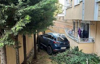 Geri manevra yapan otomobil bahçeye düştü: 1 yaralı