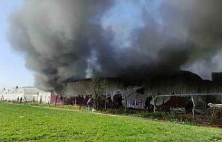 Gül serası alevlere teslim oldu