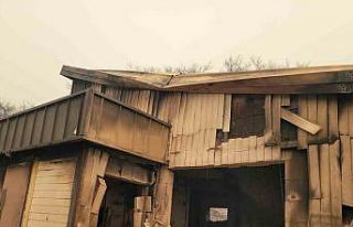 Güney Kore’deki orman yangınlarında 7’nci gün:...