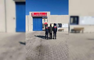Hapis cezası ile aranan şahsı jandarma yakaladı