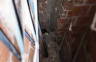 Havalandırma boşluğuna düşen kediyi itfaiye kurtardı