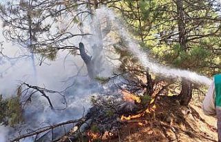 Hisarcık’ta orman yangını