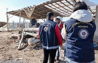 Iğdır’da çalışma izni olmayan yabancı uyruklu...