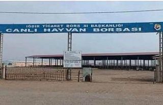 Iğdır’da hayvan pazarı açılıyor