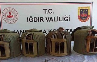 Iğdır’da kınalı keklik avcılarına 402 bin...