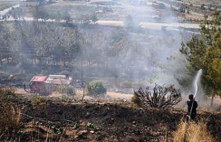 İskenderun’da ağaçlık alan yangını