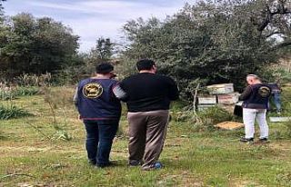 Isparta’da arı kovanı hırsızları JASAT’tan...