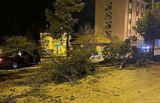 Isparta’da otomobil refüje çarparak 3 ağacı...