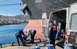 İzmir’de yasadışı yollarla avlanan deniz patlıcanları...