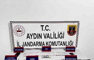 Jandarmadan uyuşturucu baskını: 1 gözaltı