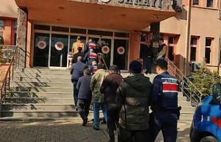 Kaçak kazı operasyonunda 7 kişi yakalandı