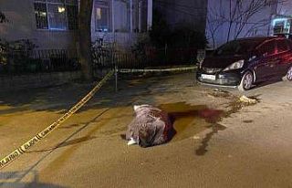 Kadıköy’de çöp kamyonunun altında kalan yaşlı...