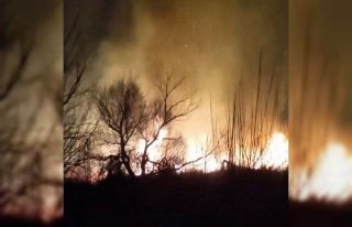 Kastabala Kuş Cenneti’nde 2 defa çıkan yangın...