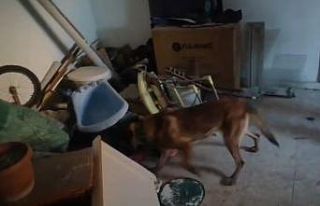 Kastamonu merkezli 3 ilde uyuşturucu operasyonu:...