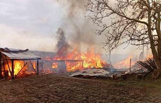 Kastamonu’da çok sayıda ev ve ahır alevlere teslim...