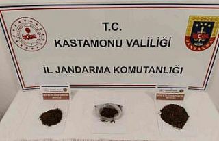 Kastamonu’da uyuşturucu operasyonu: 1 tutuklama