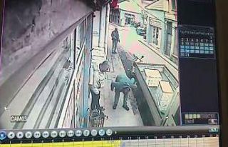 Kedinin tezgahtan balık alması kamerada