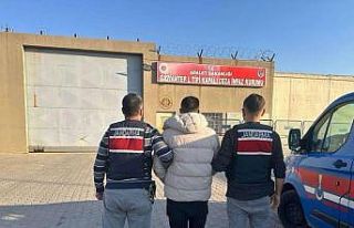Kesinleşmiş 14 yıl cezası bulunan firari şahıs...