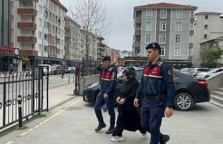 Kız kaçırma olayına karışan kadın tutuklandı