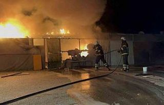 Konteyner kentte korkutan yangın