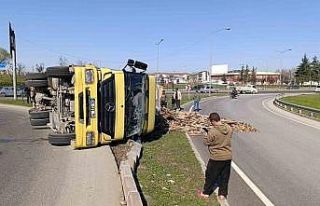 Kontrolden çıkan kamyon devrildi, sürücüsü yaralandı